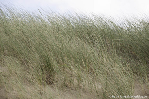 Sommer und Sand