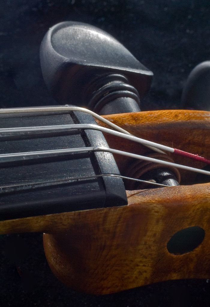 Sattel einer Violine. Bild: Wikimedia Commons, PTJ56.
