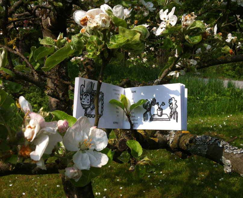 Modobook im blühenden Baum