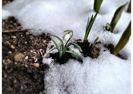 Der Frühling ist da! wunderbar!