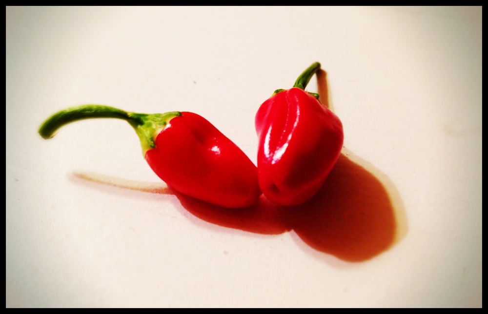 Scharf: Capsaicin im Chili