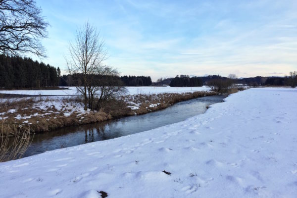 Spaziergang im Schnee