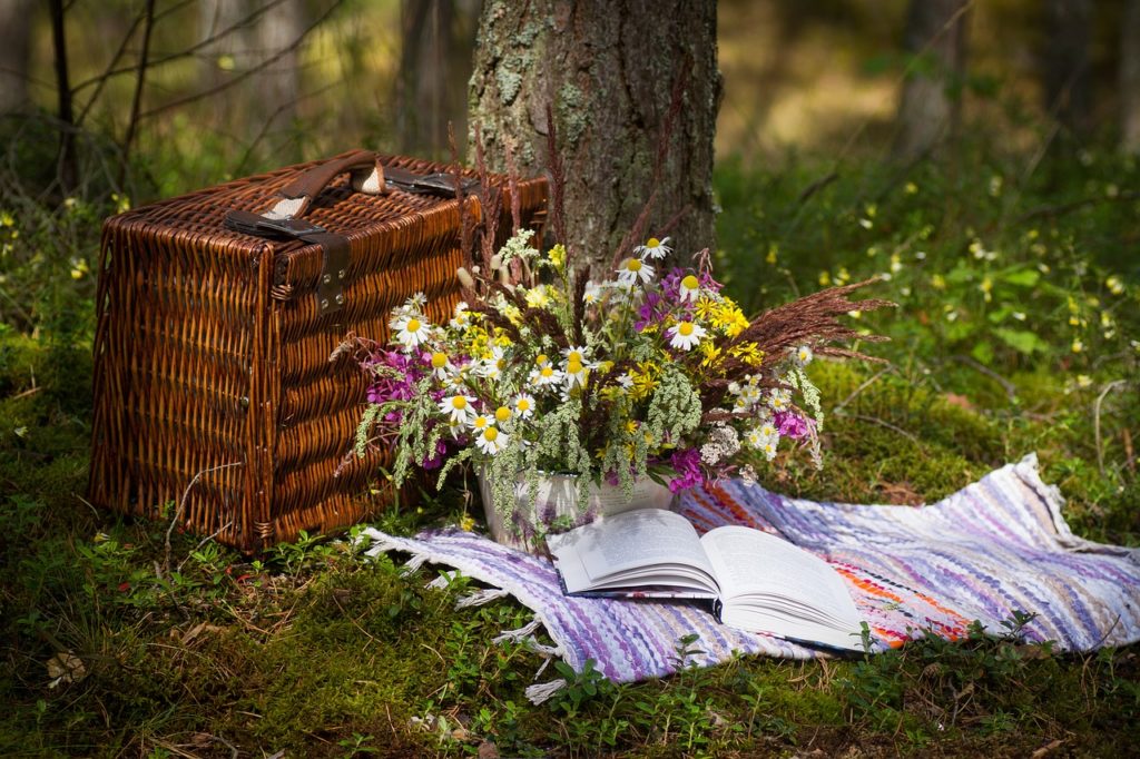 gemütliches Picknick,