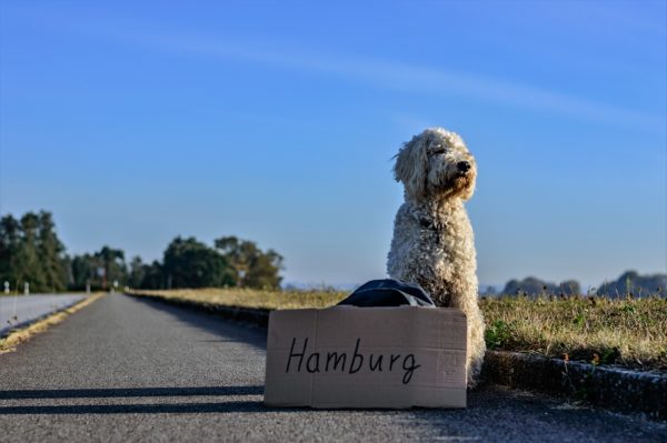 unterwegs und dann zu Hause ankommen